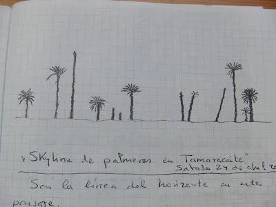 CANARIAS: HISTORIAS NATURALES.: 65. SKYLINE DE PALMERAS EN ...