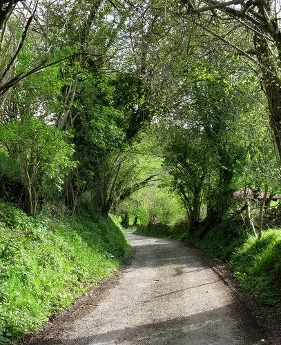 Cantabria infinita: paseos - Página 4 - Foro de InfoJardín