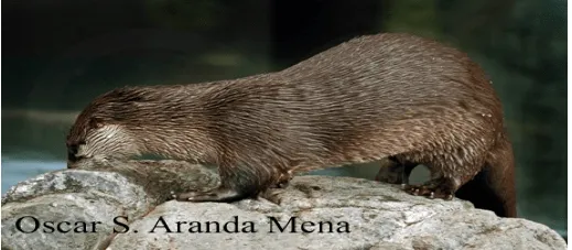 Captura+de+pantalla+2015-04-25 ...