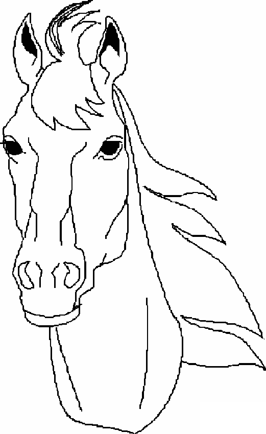 Cara de caballo para colorear - Imagui