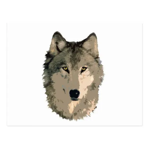 cara del lobo postales de Zazzle.