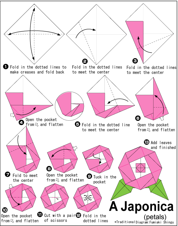 Cara Membuat Origami Bunga Kamelia | Camellia | Cara Membuat ...