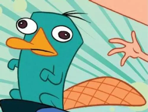 Cara de Perry el ornitorrinco para colorear - Imagui