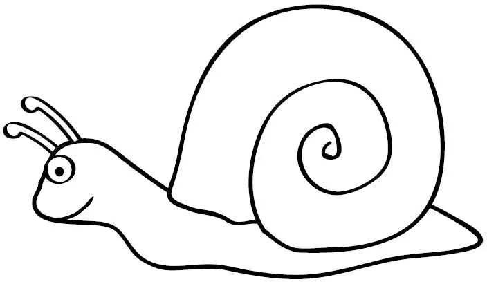 Imagen de caracol para colorear - Imagui