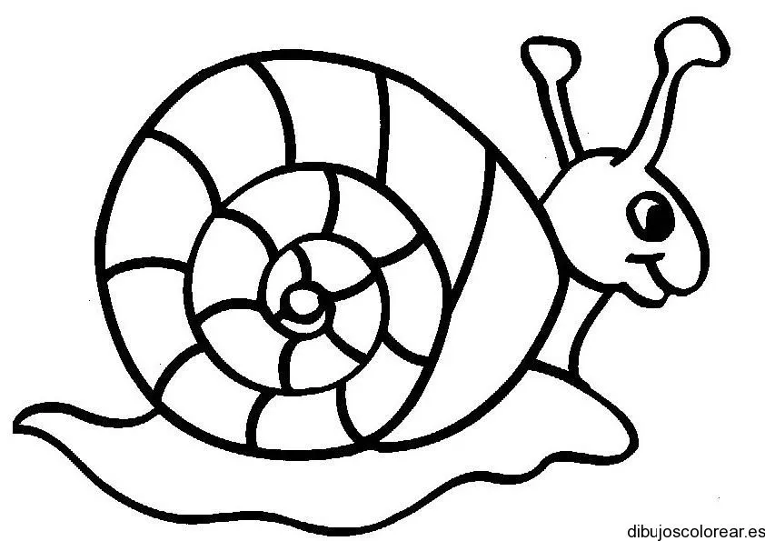 Caracoles | Dibujos para Colorear