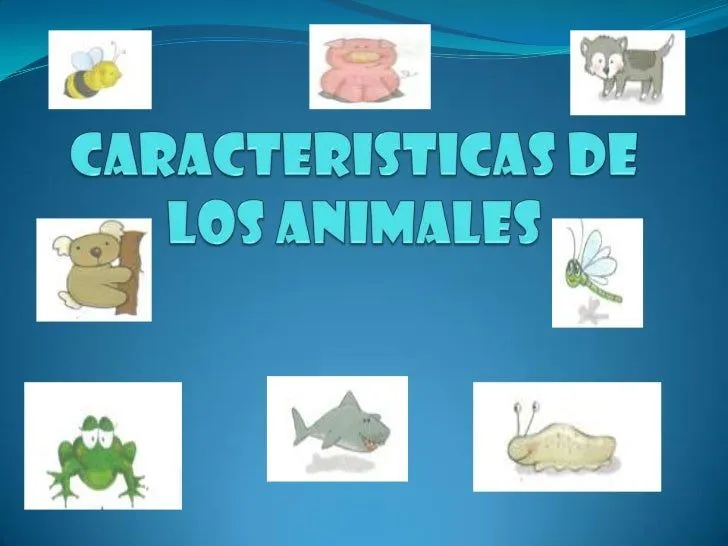 CARACTERÍSTICAS DE LOS ANIMALES: CARACTERISTICA DE LOS ANIMALES