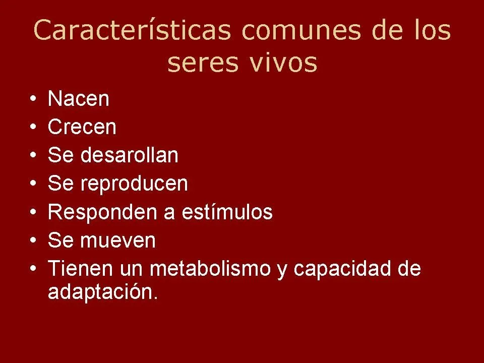 Características comunes de los seres vivos - Estudia y aprende