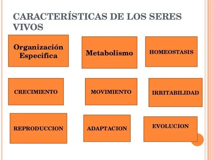 caracteristicas-de-los-seres- ...