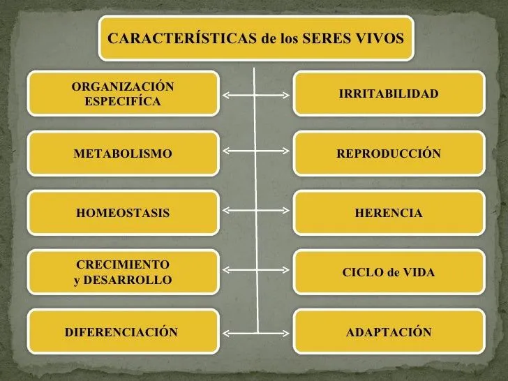 Características de los seres vivos