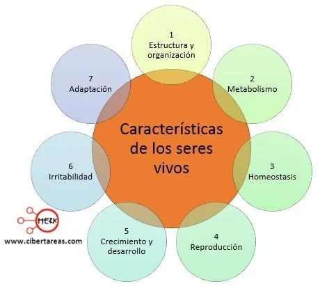 Características de los seres vivos – Biología 1 | CiberTareas