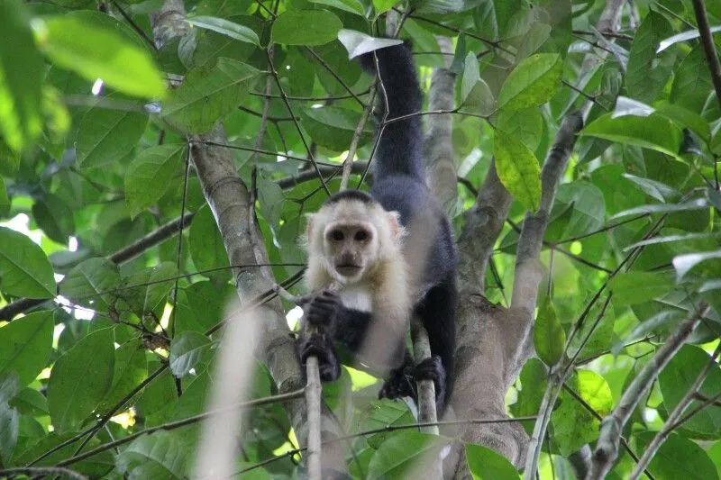 De Cariari a Tortuguero | Los Viajes de Juan y Sandra