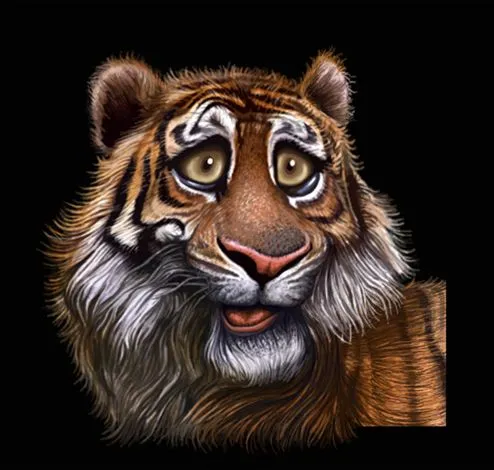 CARICATURA TIGRE by FRMONROY on DeviantArt