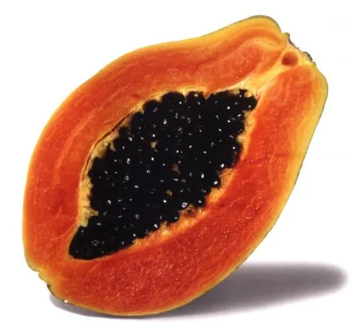 Papaya.0.jpg