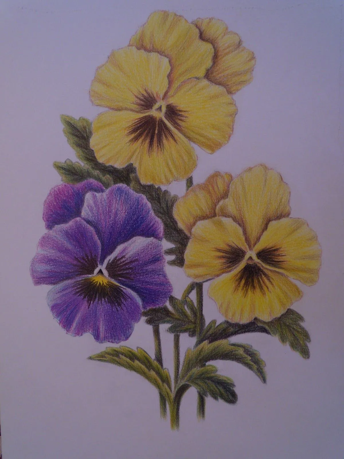 CARLOS VIANO, Dibujo y pintura: Flores