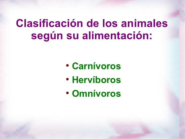 CARNIVOROS, HERVIBOROS, OMNIVOROS