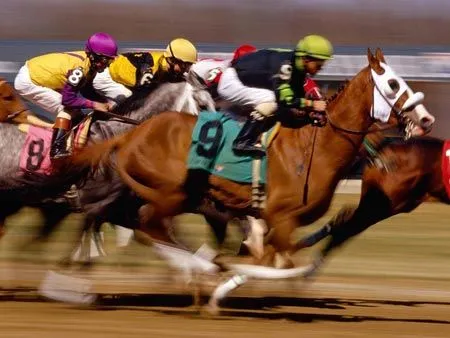 CARRERAS DE CABALLOS | Los Caballos.