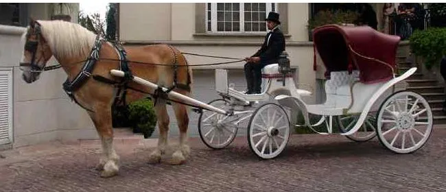 Carretas con caballos para bodas - Imagui