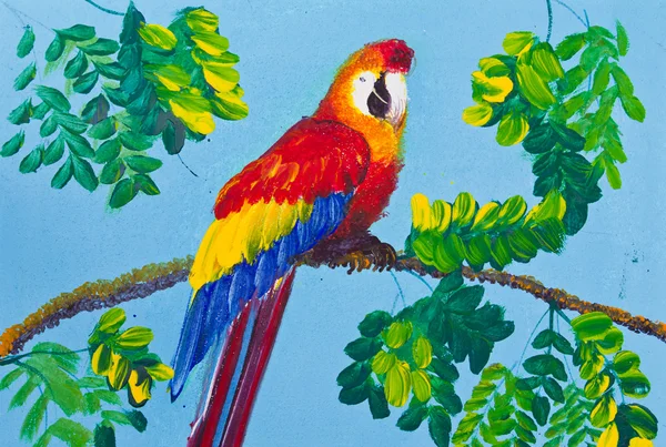 cartel color dibujo guacamaya roja — Foto stock © tungphoto #11283850