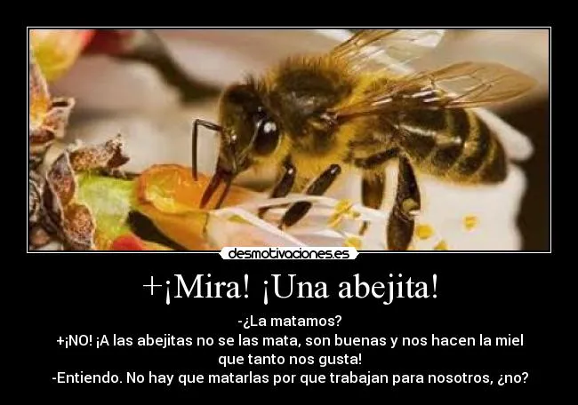 Carteles de Abejas Pag. 9 | Desmotivaciones