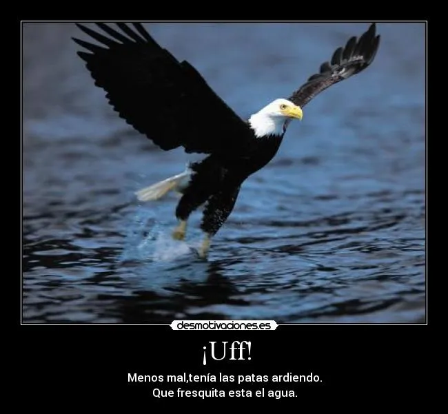 Carteles de Aguila Pag. 22 | Desmotivaciones