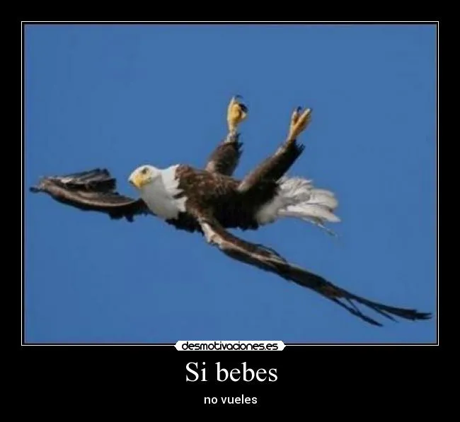 Carteles de Aguila Pag. 7 | Desmotivaciones