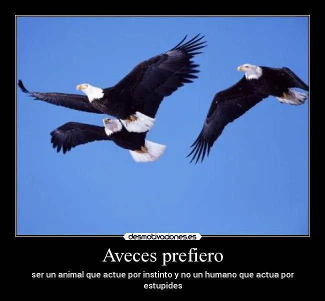 Carteles de Aguilas Pag. 5 | Desmotivaciones