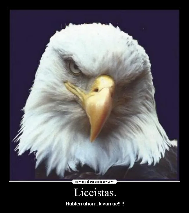 Carteles de Aguilas Pag. 3 | Desmotivaciones