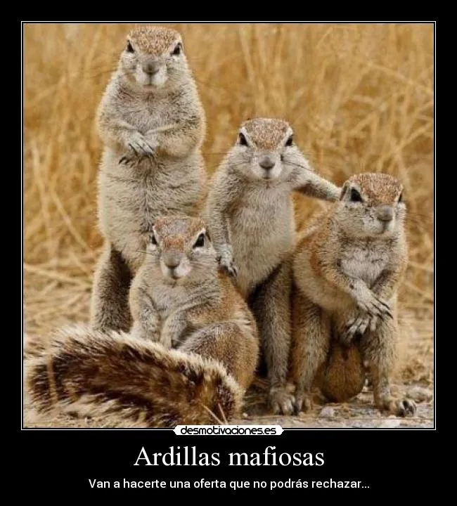 Ardillas mafiosas | Desmotivaciones