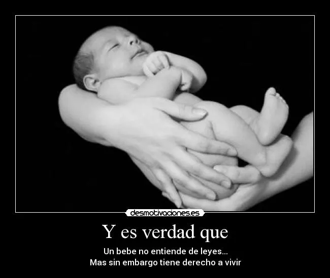 Carteles de Bicha192lok | Desmotivaciones