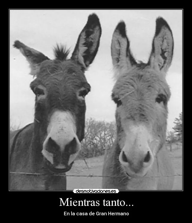 Carteles de Burros Pag. 13 | Desmotivaciones