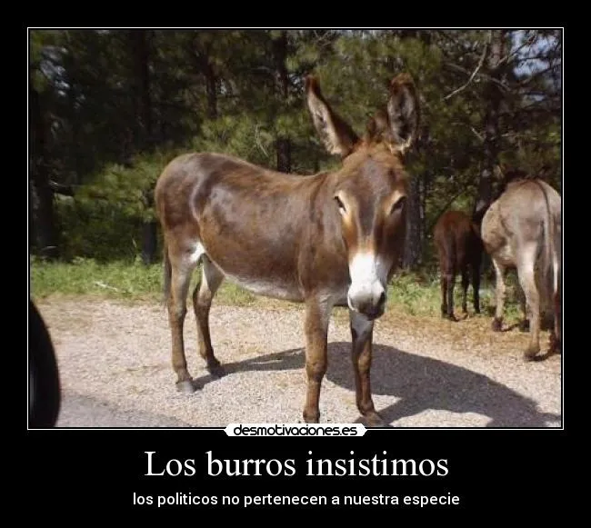 Carteles de Burros Pag. 4 | Desmotivaciones