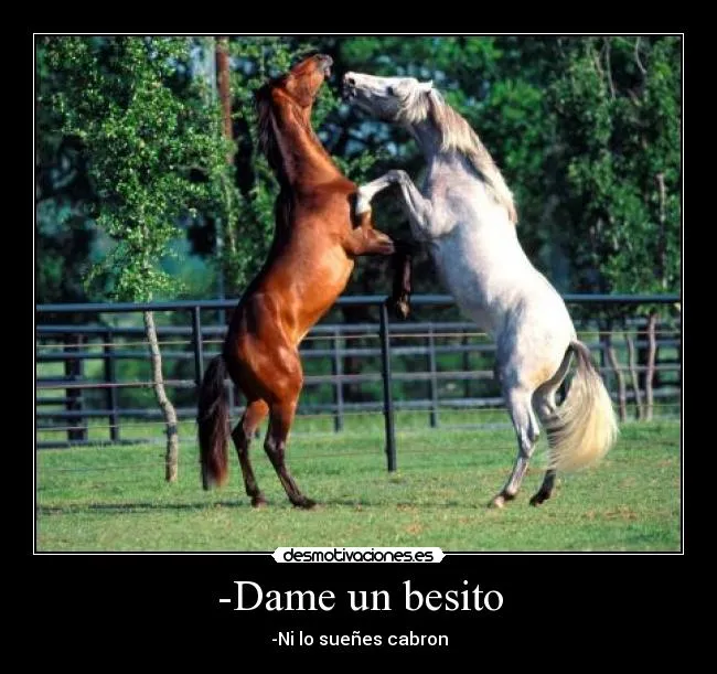 Carteles de Caballos Pag. 29 | Desmotivaciones