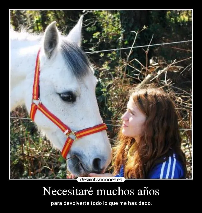 Carteles de Caballos Pag. 36 | Desmotivaciones