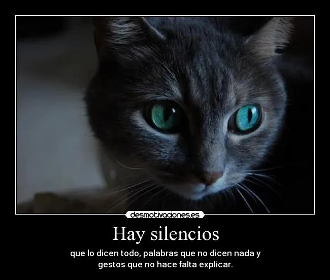 Carteles de Cheshire Pag. 11 | Desmotivaciones