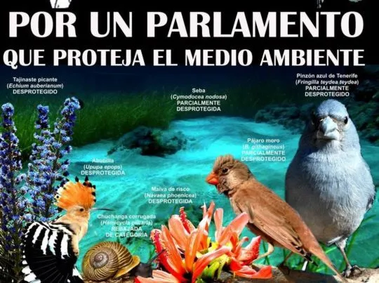 Cadena humana para salvar animales y plantas en Canarias | La ...