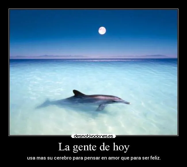 Carteles de Delfin Pag. 4 | Desmotivaciones