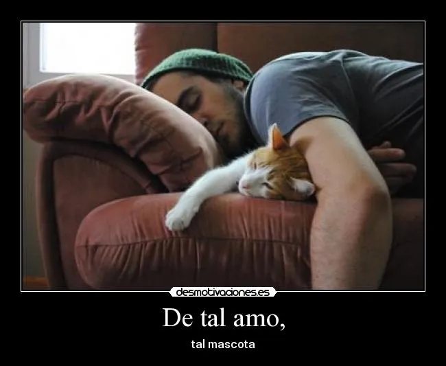 Carteles de Desmotivadoras | Desmotivaciones