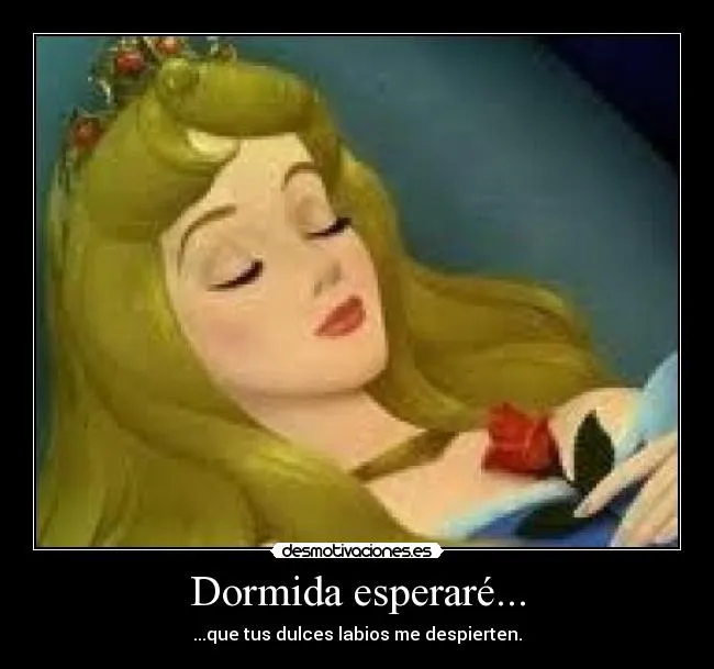 Carteles de Dormida Pag. 13 | Desmotivaciones