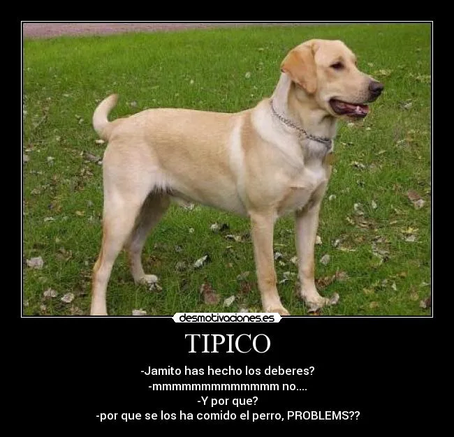 Carteles de Garmen778 | Desmotivaciones