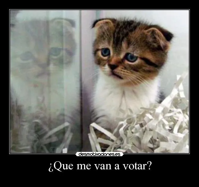 Carteles de Gatito Pag. 183 | Desmotivaciones