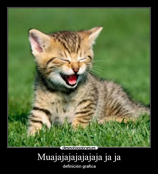 Carteles de Gatito Pag. 260 | Desmotivaciones