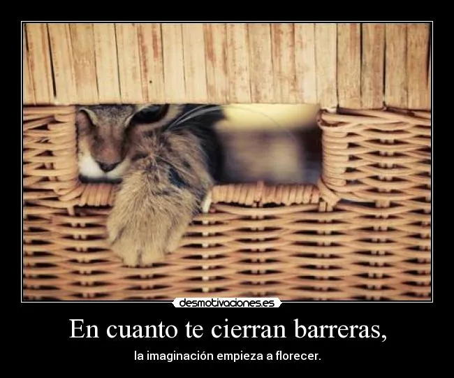 Carteles de Gatito Pag. 5 | Desmotivaciones