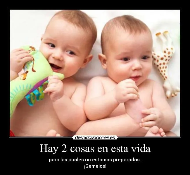 Carteles de Gemelitos | Desmotivaciones
