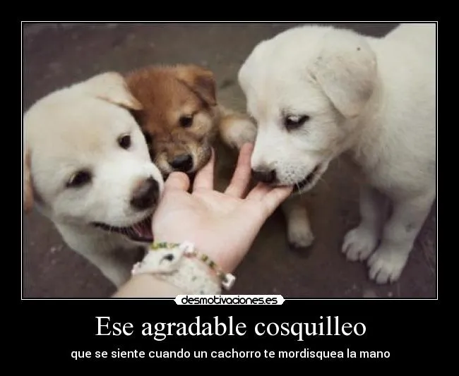 Carteles de Harto Pag. 4 | Desmotivaciones