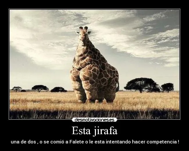 Carteles de Jirafa Pag. 5 | Desmotivaciones