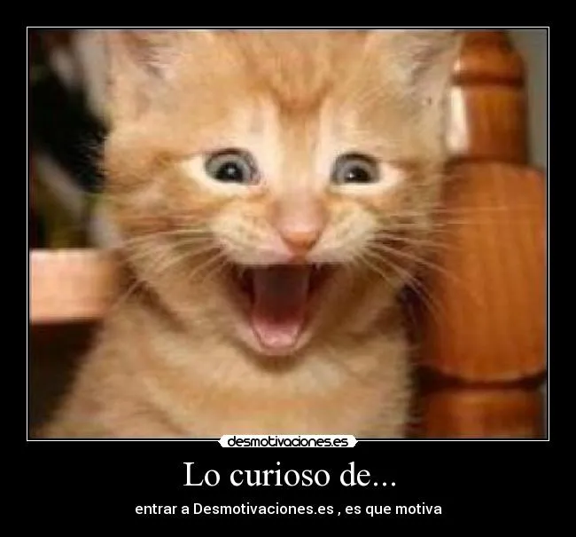 Carteles de Kitten Pag. 2 | Desmotivaciones