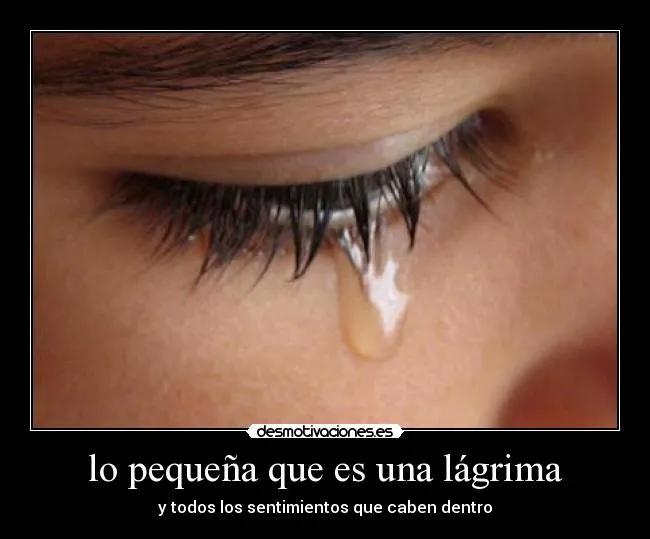 Carteles de Lagrimas Pag. 448 | Desmotivaciones