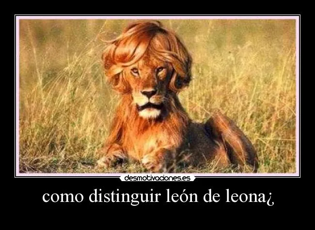 Carteles de Leona Pag. 9 | Desmotivaciones