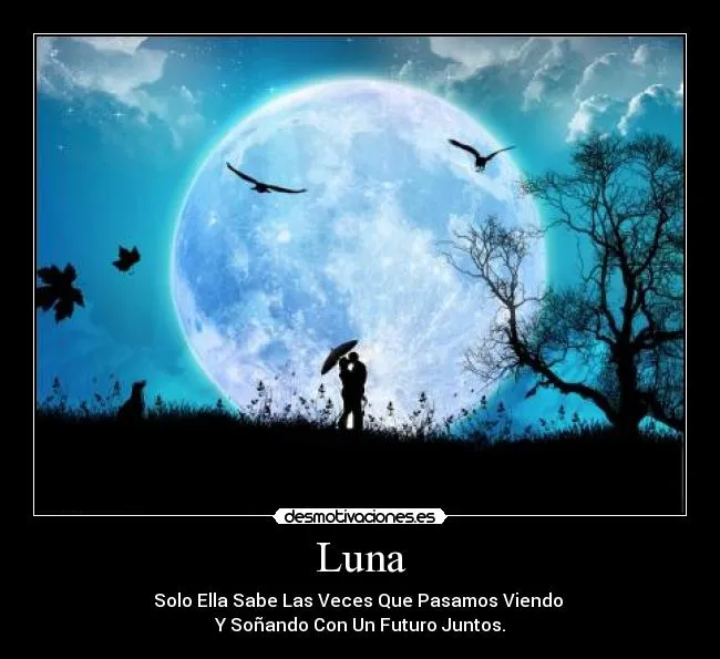 Carteles de Luna Pag. 43 | Desmotivaciones