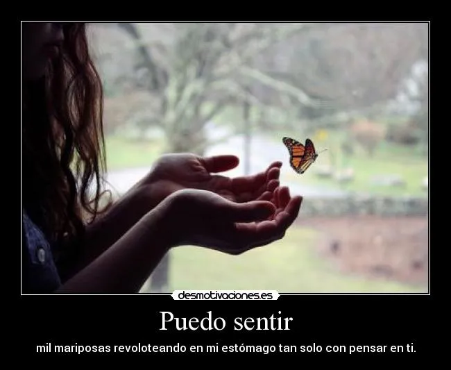 Carteles de Mariposas Pag. 31 | Desmotivaciones